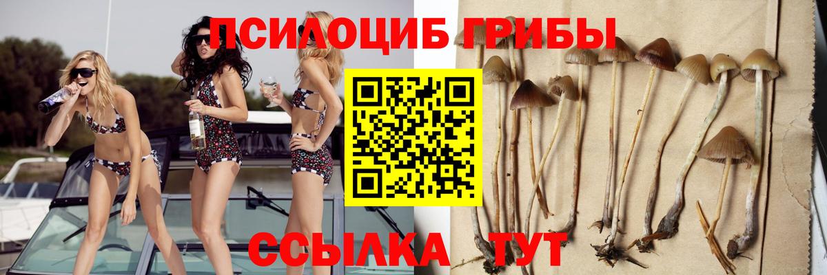 Галлюциногенные грибы GOLDEN TEACHER Белая Калитва